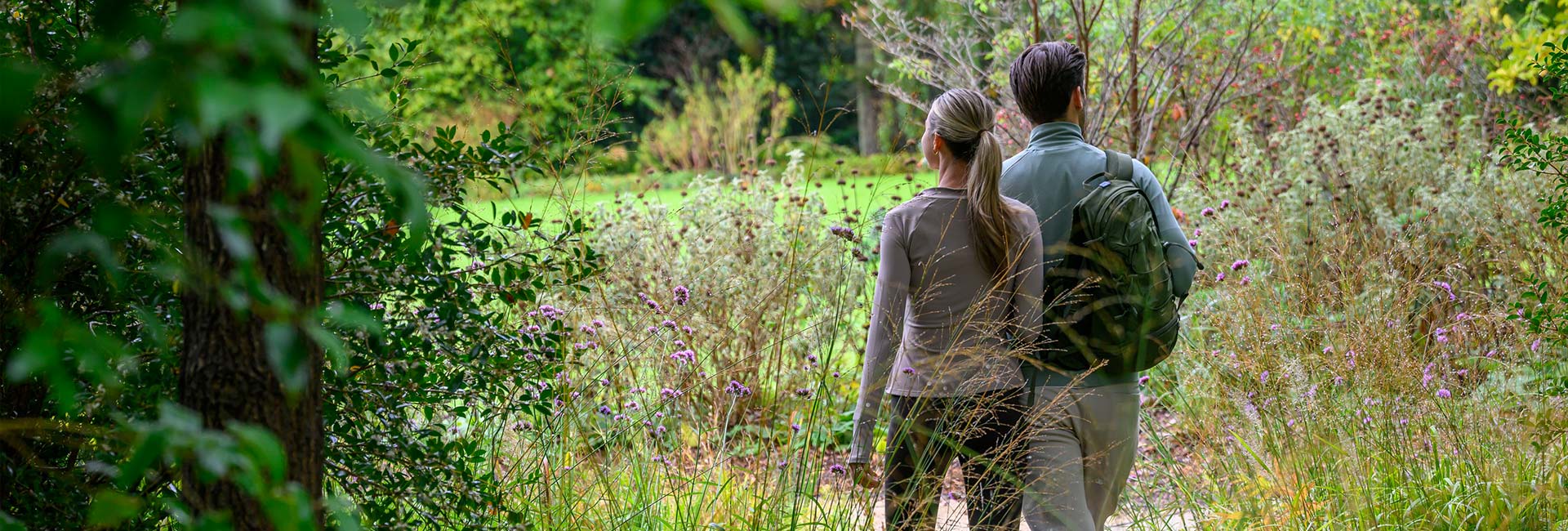An image of a couple walking through a field